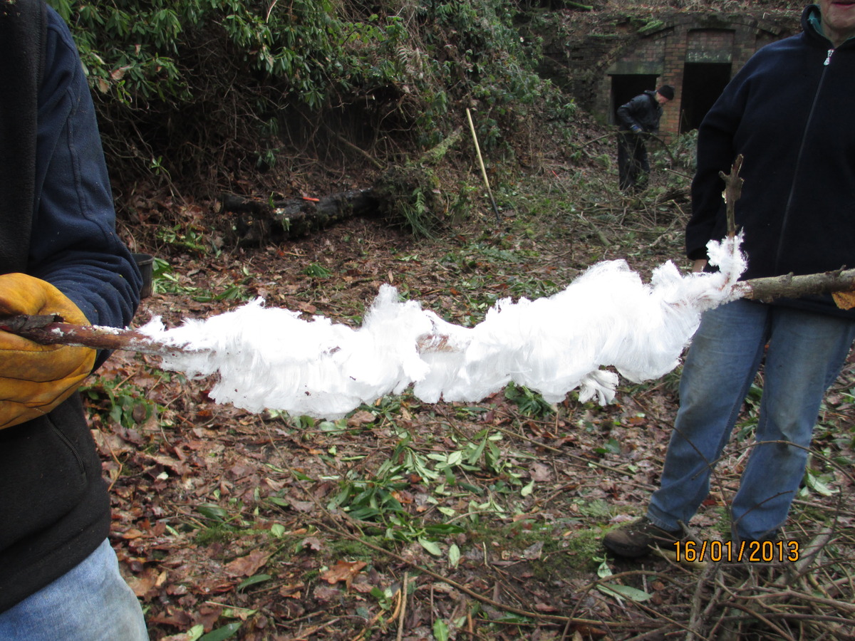 Frost Flowers (1)